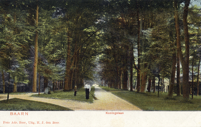 14123 Gezicht in de Koningslaan met bomenrijen te Soestdijk (gemeente Baarn) uit het zuidwesten.
